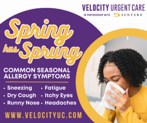 VELO Allergies graphic