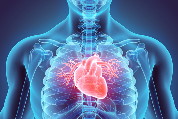 5 Heart Disease Prevention Tips