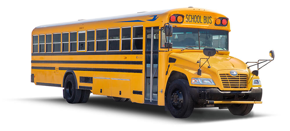 Do School Bus Drivers in Virginia Need a Physical?